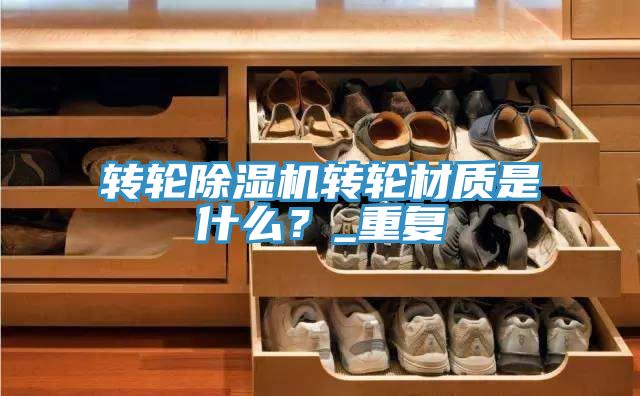 轉輪91看片网站轉輪材質是什麽？_重複