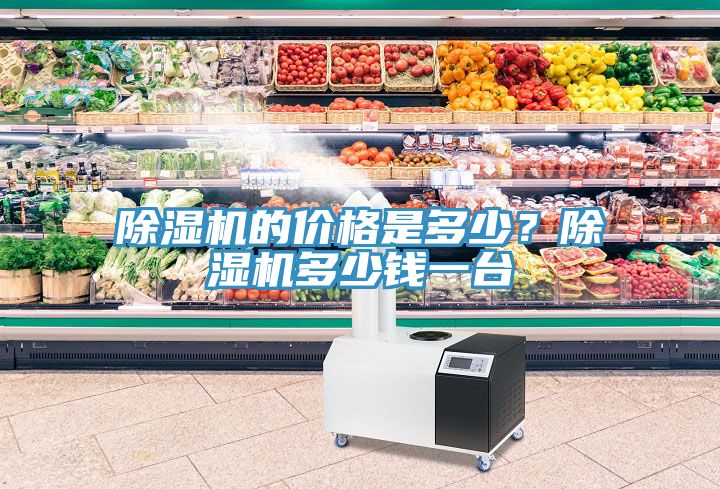 91看片网站的價格是多少？91看片网站多少錢一台