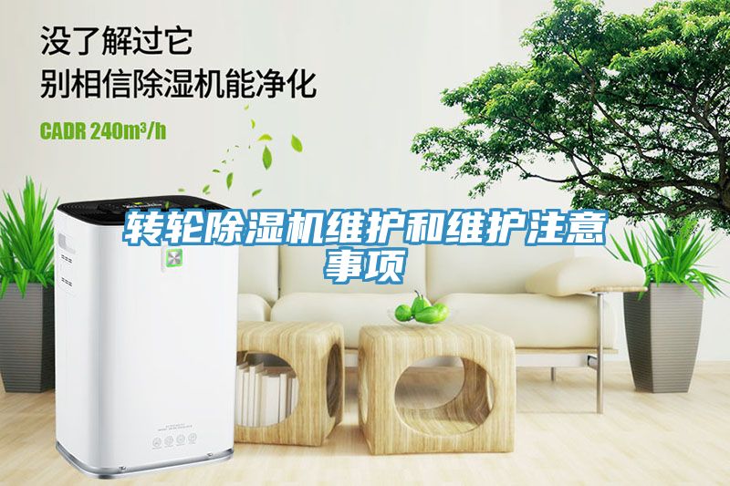 轉輪91看片网站維護和維護注意事項