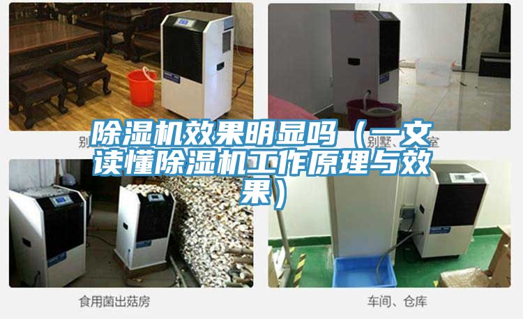 91看片网站效果明顯嗎（一文讀懂91看片网站工作原理與效果）