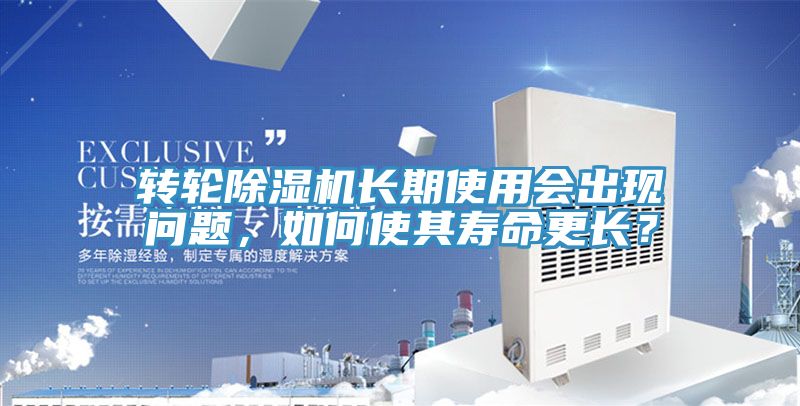 轉輪91看片网站長期使用會出現問題，如何使其壽命更長？