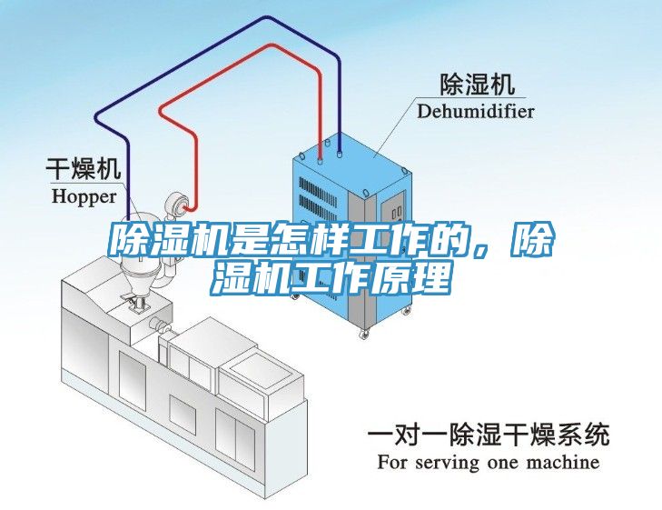 91看片网站是怎樣工作的，91看片网站工作原理