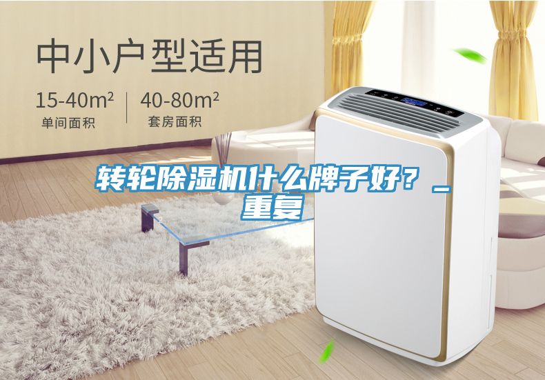 轉輪91看片网站什麽牌子好？_重複