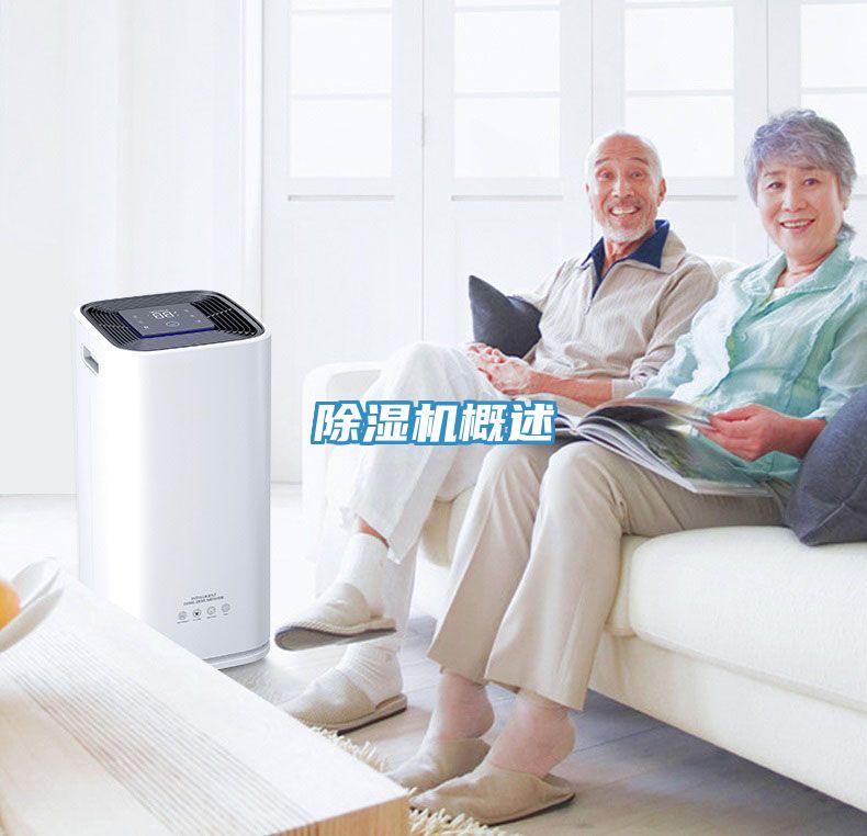91看片网站概述