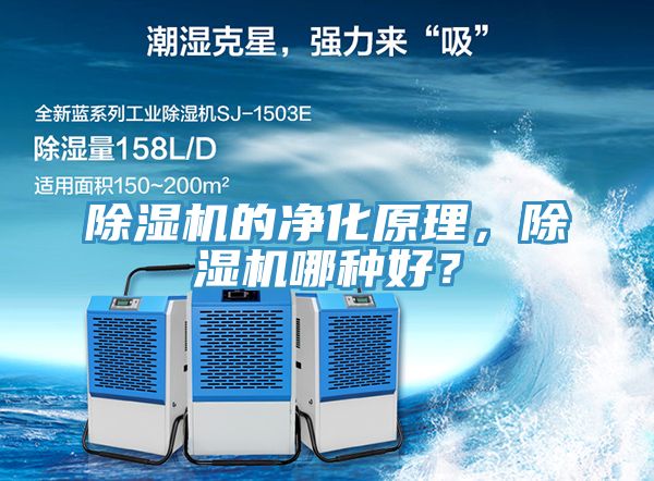 91看片网站的淨化原理，91看片网站哪種好？