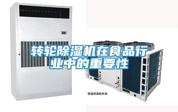 轉輪91看片网站在食品行業中的重要性