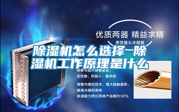 91看片网站怎麽選擇 91看片网站工作原理是什麽
