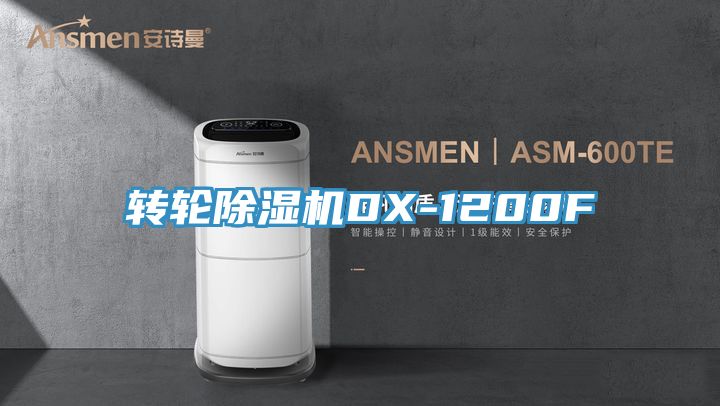 轉輪91看片网站DX-1200F