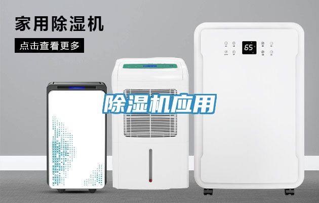 91看片网站應用