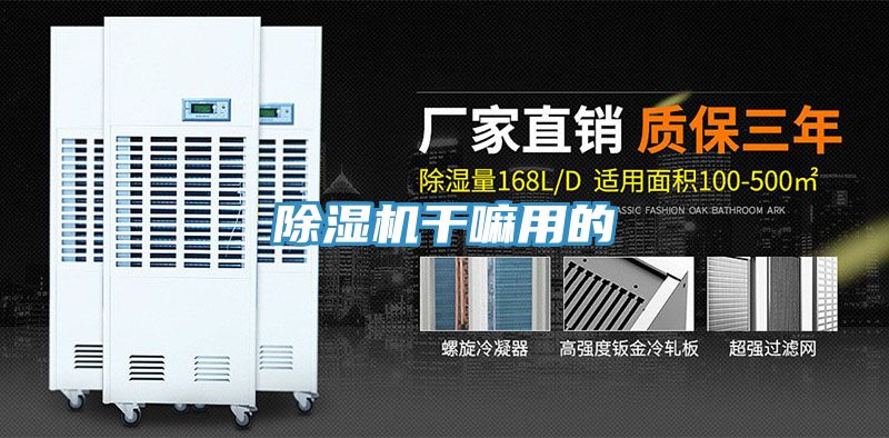 91看片网站幹嘛用的