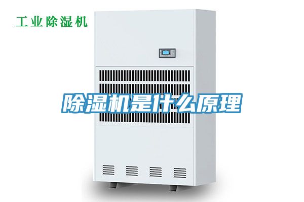 91看片网站是什麽原理