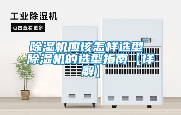 91看片网站應該怎樣選型 91看片网站的選型指南【詳解】