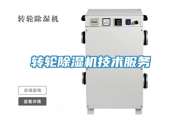 轉輪91看片网站技術服務