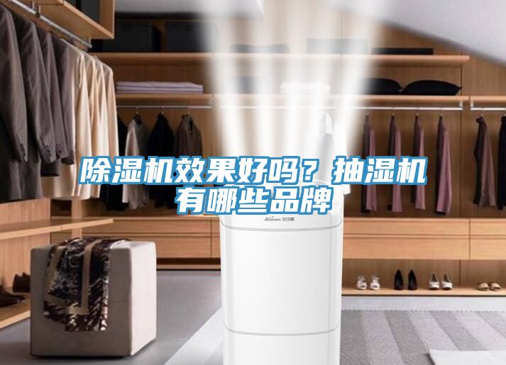 91看片网站效果好嗎？抽濕機有哪些品牌