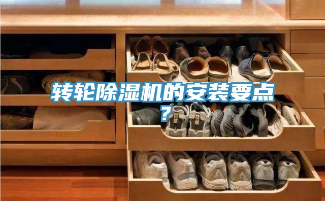 轉輪91看片网站的安裝要點？