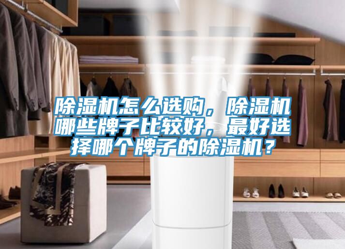 91看片网站怎麽選購，91看片网站哪些牌子比較好，最好選擇哪個牌子的91看片网站？