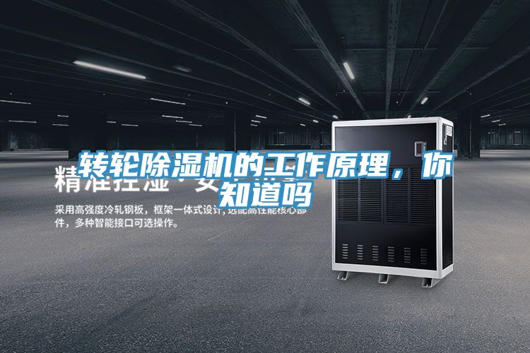 轉輪91看片网站的工作原理，你知道嗎