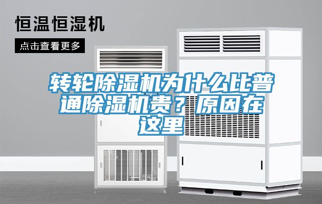 轉輪91看片网站為什麽比普通91看片网站貴？原因在這裏
