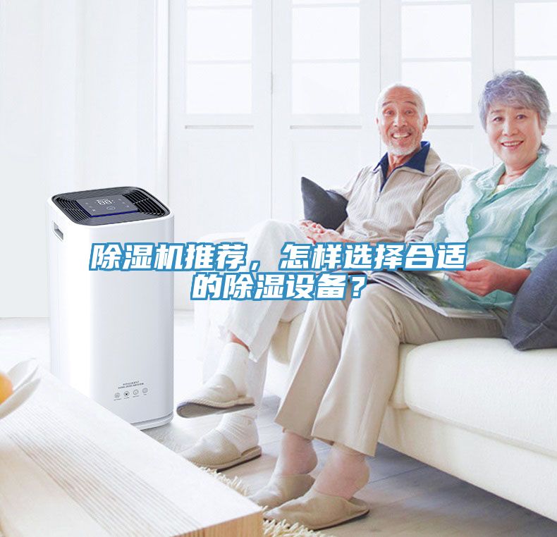 91看片网站推薦，怎樣選擇合適的除濕設備？