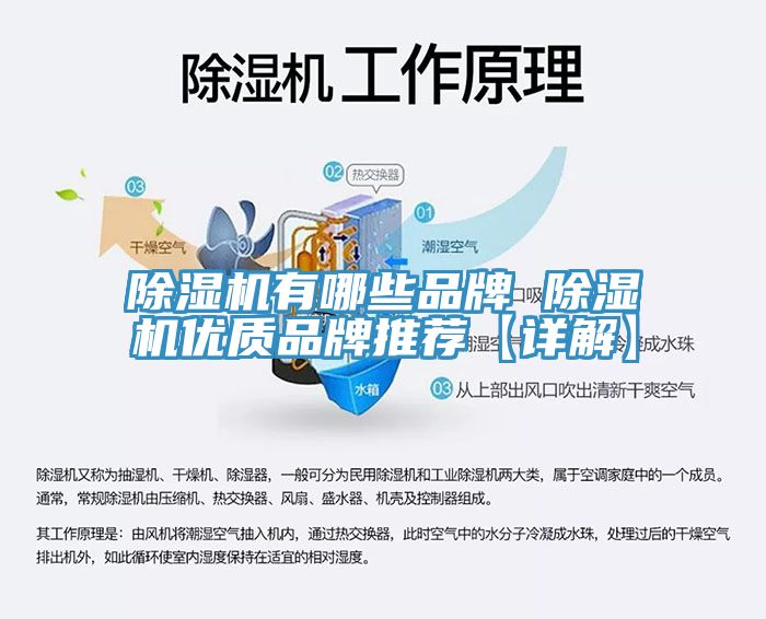 91看片网站有哪些品牌 91看片网站優質品牌推薦【詳解】