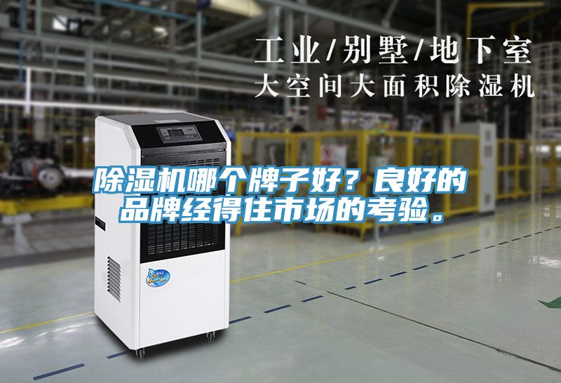 91看片网站哪個牌子好？良好的品牌經得住市場的考驗。