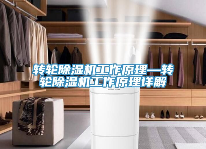 轉輪91看片网站工作原理—轉輪91看片网站工作原理詳解