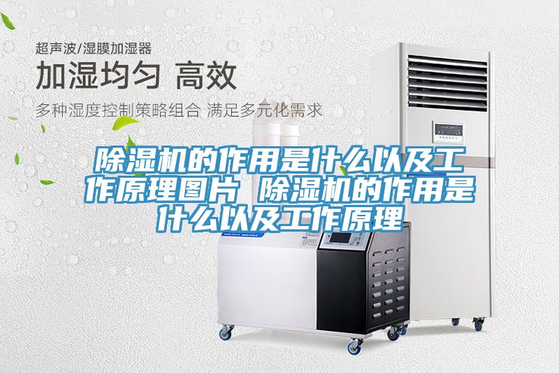 91看片网站的作用是什麽以及工作原理圖片 91看片网站的作用是什麽以及工作原理