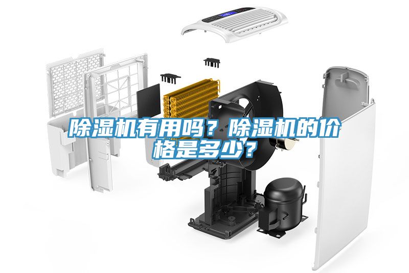 91看片网站有用嗎？91看片网站的價格是多少？