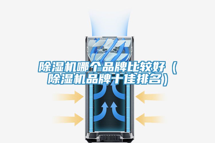91看片网站哪個品牌比較好（91看片网站品牌十佳排名）