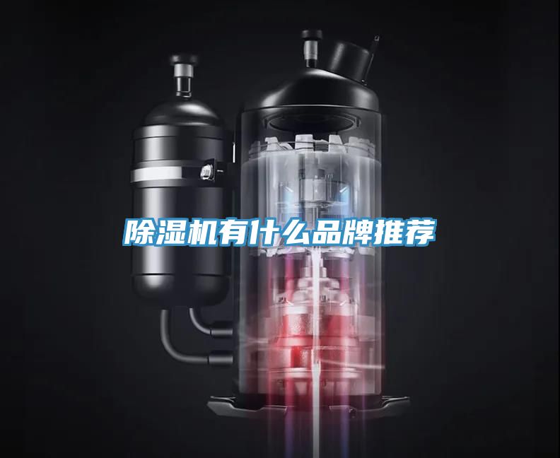 91看片网站有什麽品牌推薦