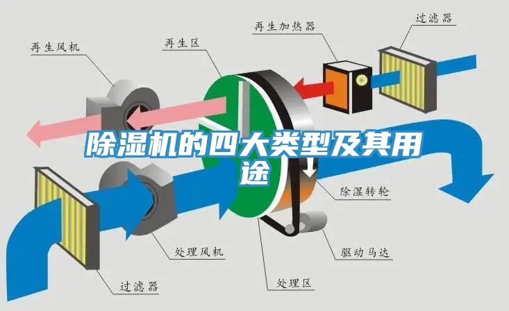 91看片网站的四大類型及其用途