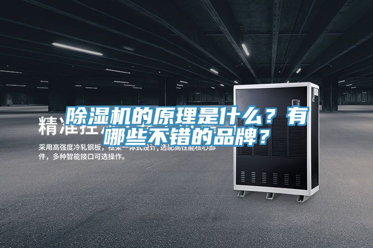 91看片网站的原理是什麽？有哪些不錯的品牌？