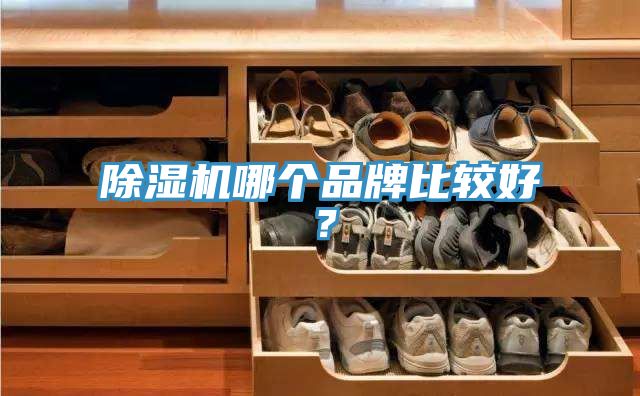 91看片网站哪個品牌比較好？