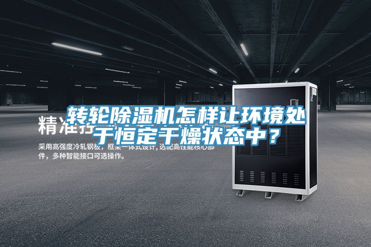 轉輪91看片网站怎樣讓環境處於恒定幹燥狀態中？