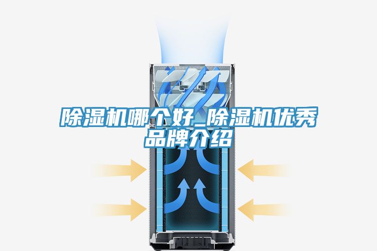 91看片网站哪個好_91看片网站優秀品牌介紹