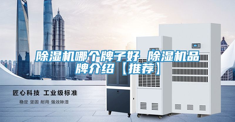 91看片网站哪個牌子好 91看片网站品牌介紹【推薦】