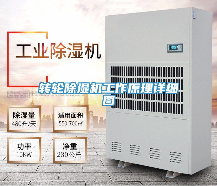 轉輪91看片网站工作原理詳細圖