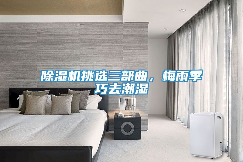91看片网站挑選三部曲，梅雨季巧去潮濕