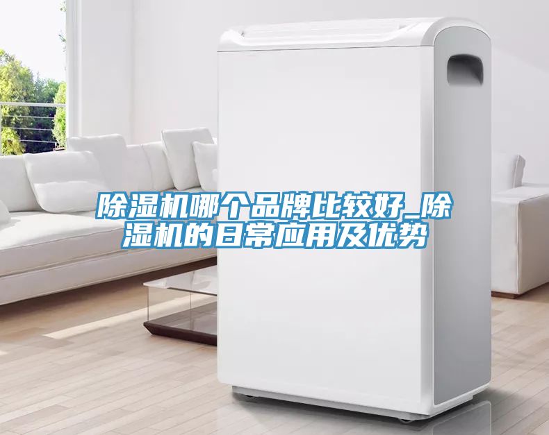 91看片网站哪個品牌比較好_91看片网站的日常應用及優勢