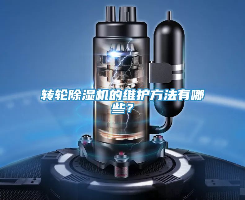 轉輪91看片网站的維護方法有哪些？
