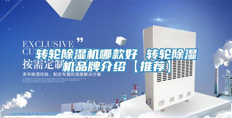 轉輪91看片网站哪款好 轉輪91看片网站品牌介紹【推薦】