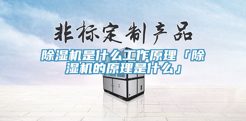 91看片网站是什麽工作原理「91看片网站的原理是什麽」