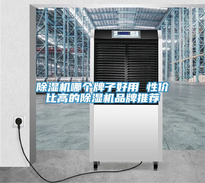 91看片网站哪個牌子好用 性價比高的91看片网站品牌推薦