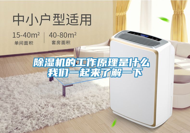 91看片网站的工作原理是什麽 91看片免费下载一起來了解一下