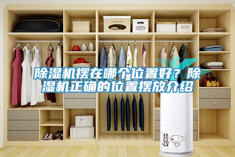 91看片网站擺在哪個位置好？91看片网站正確的位置擺放介紹