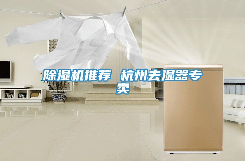 91看片网站推薦 杭州去濕器專賣