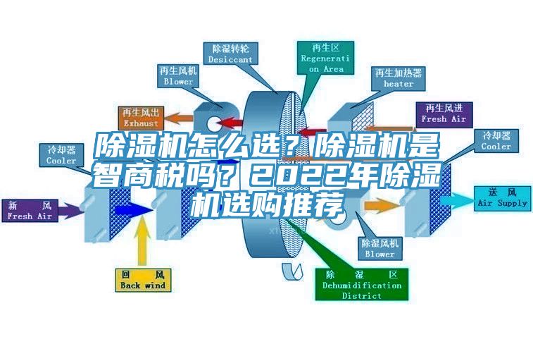 91看片网站怎麽選？91看片网站是智商稅嗎？2022年91看片网站選購推薦