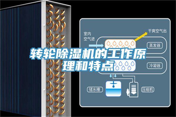 轉輪91看片网站的工作原理和特點