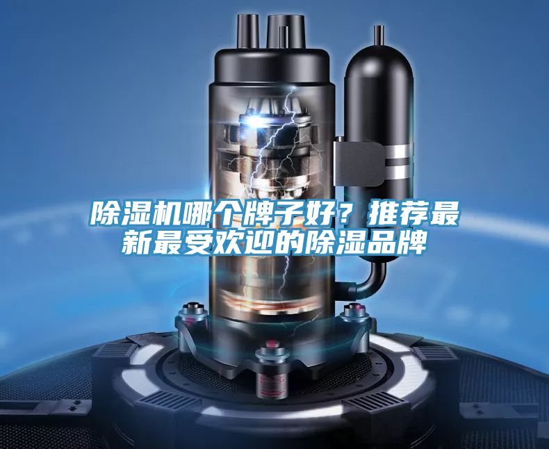 91看片网站哪個牌子好？推薦最新最受歡迎的除濕品牌
