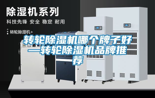 轉輪91看片网站哪個牌子好—轉輪91看片网站品牌推薦